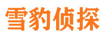 临翔找人公司